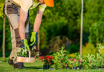 gardening services in dubai